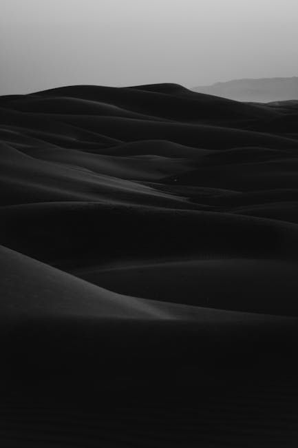 신두리 사막과 해수욕장: 태안 해안의 숨겨진 보석